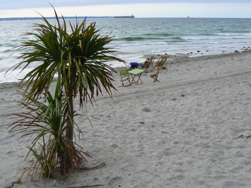 Tropical Beach